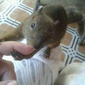 Luisa Sosa's photo