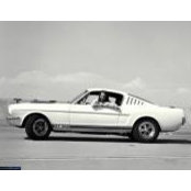 Simone Bevilacqua's photo