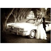 Sandra Henderson's photo