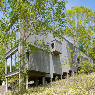 東京23区のコンテンポラリースタイルのおしゃれなスキップフロア住宅 (グレーの外壁、陸屋根、戸建) の写真