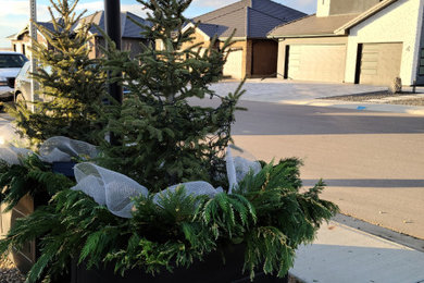 Design ideas for a contemporary landscaping in Calgary for winter.