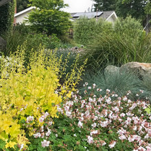 Landscaping New