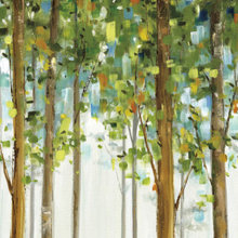 tree audit crop