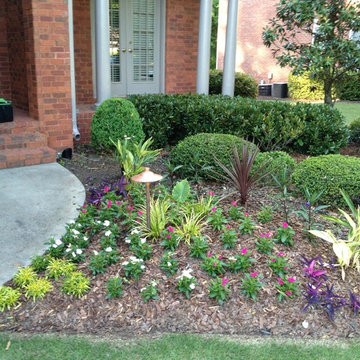 Annual Beds