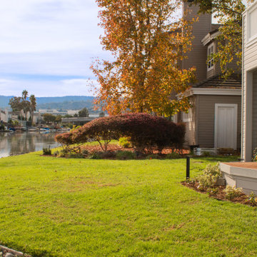 Redwood Shores
