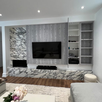 Mid-town Toronto project