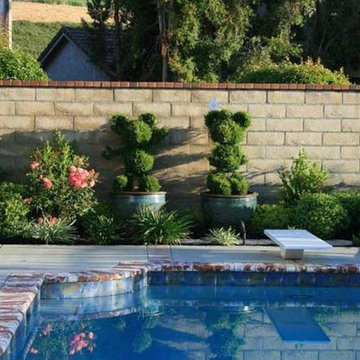 Themed Topiary plant-scape