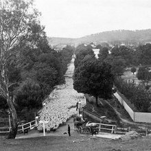 Central/South Albury Photos