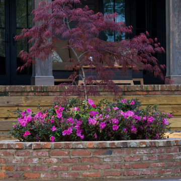 Encore Azalea Landscape