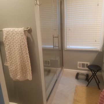 Vienna Bathroom 2
