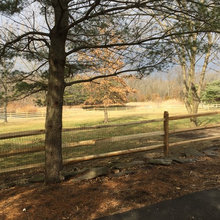 Fencing