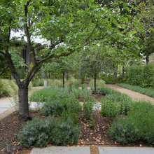 Front Yard Adanac