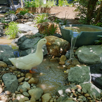 Fountainscape