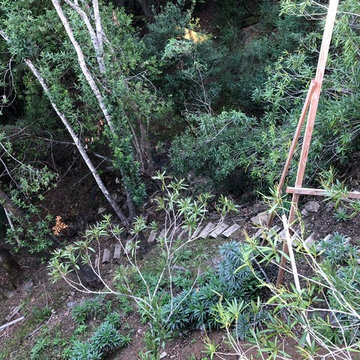 Kentfield Hillside