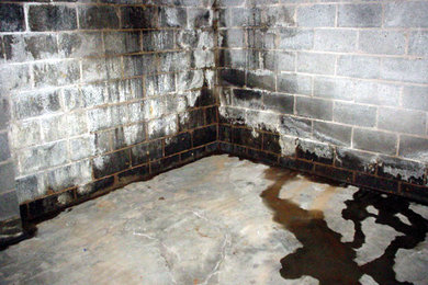 Basement Waterproofing
