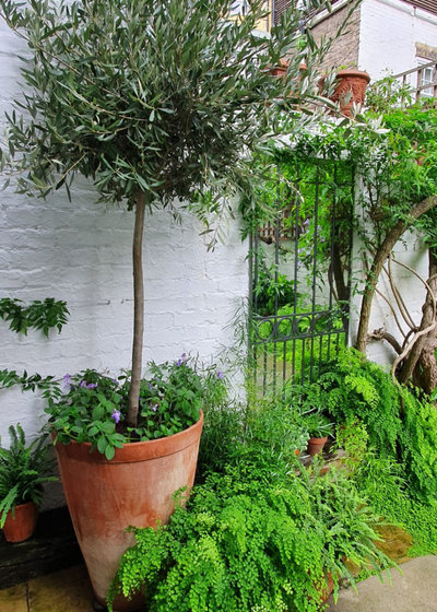 Shabby-chic Style Garden by Filipa T | Landscape & Garden Design