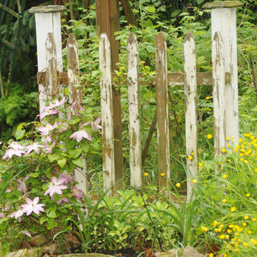 Landscape Design
