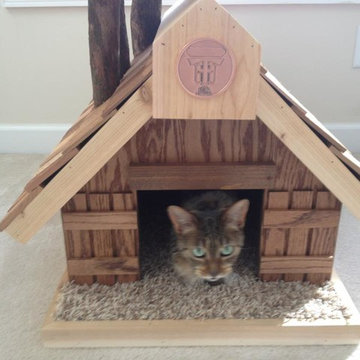 Client Photos of their cat enjoying their Pet Tree House