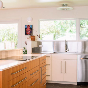 Modern Mid-Century Kitchen