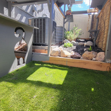 The Purr-fect Playground✨