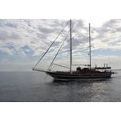 Yosra Omar's photo