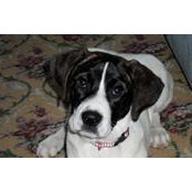 Laura Vasconcellos's photo