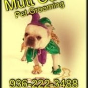 Mutt Cuts's photo