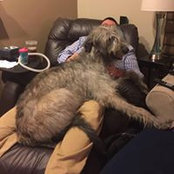 Shaunathon Greer's photo