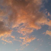 Michelle Muhlhausen's photo