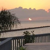 Vicki Perdue's photo