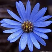 Foto de Tiphany Price
