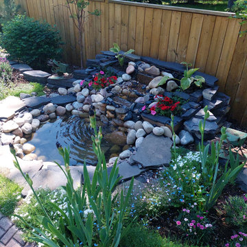 Garden update