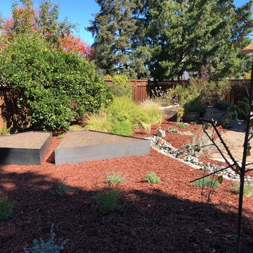 Veggie Beds