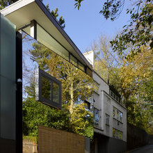 mirrored houses