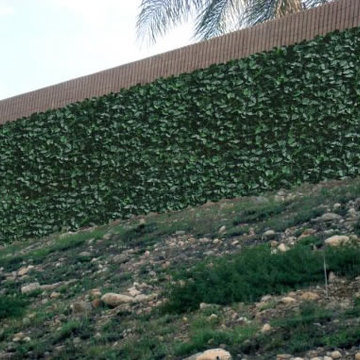 Ranka Lasting Greenery
