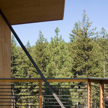 crooked birch exterior
