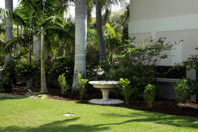 Photo of a tropical landscaping in Tampa.
