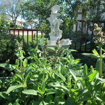 Lily's Rustic California Native Garden