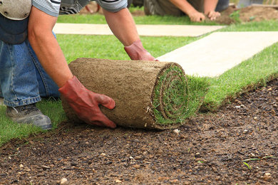 Lawn Care