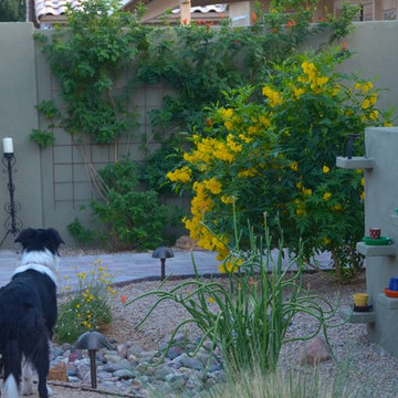 Eclectic and Waterwise Back Yard