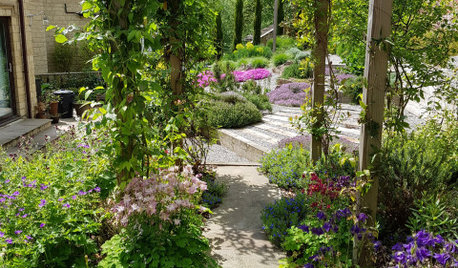 Patio of the Week: Planted Terraces Remake a Sloped Yard