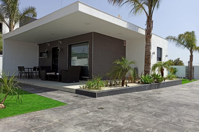 Proyecto Calle Diamante