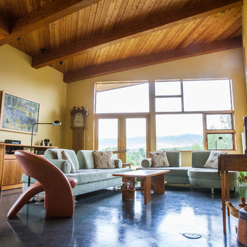 Mountain Modern