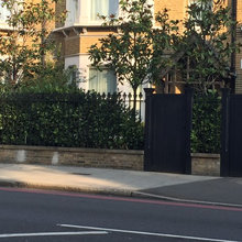 fencing / wall