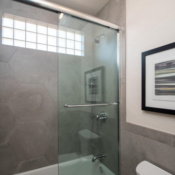 Nelson Remodel - South Tempe