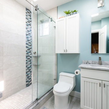 Bathroom Remodel - Art Museum, Philadelphia