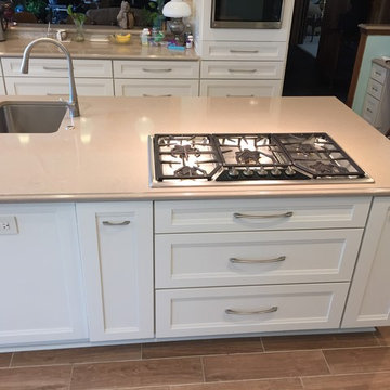 Large Mount Prospect Remodel