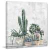 "Succulent House Plants" Painting Print on Wrapped Canvas, 18x18