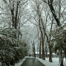 My House