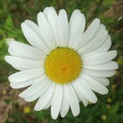 Andrei Ponomarev's photo